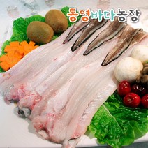 통영 자연산 바다장어 1kg, 바다장어 유두(대) 1kg(4~6미), 1개