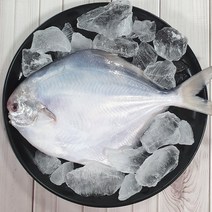 [신선함이 가득] 신안 손질 생물 병어 병어회 횟감용 선물용 생선 조림 구이 캠핑 요리 소 중 대 특대, 1. 병어 소 사이즈 1마리, 1개