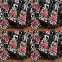 평창대관령 한우육포 1호 육포세트 고급육포