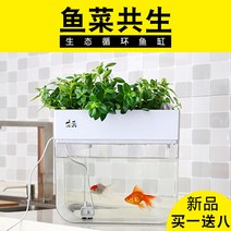 작은 어항 열대어키우기 생태 금붕어어항 거실 가정용 테이블 소형
