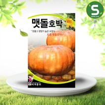 맷돌호박씨앗 1000립 토종 맷돌호박 다수확 호박씨앗, 단품