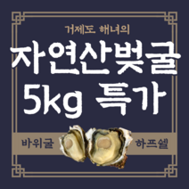 벚굴 벗굴 자연산 거제도 바위굴 하프쉘 석화 5kg, 1개