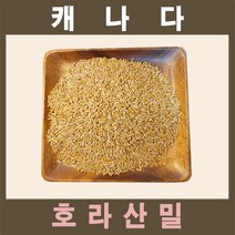 카무트쌀5kg 종류 및 가격