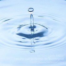 향수 베이스 (룸스프레이겸용) 250ml