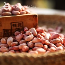 2022년 국산 햇 땅콩 1kg 손으로깐 생땅콩