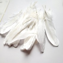 천연 새 깃털 부자재 어린이집 썬캐쳐 만들기 재료 어린이 방과후 드림캐쳐 놀이 소품 미술 수업 라크라메 도구 초등 모자 왕관 공예 자연 거위 날개 자개 모빌 DIY 화이트 50P