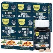 본트비 퍼펙트 보스웰리아, 5박스, 1001mgx60정