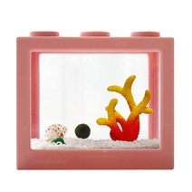 세남자바스켓 언더더씨 국산 마리모 DIY 세트 키우기-마리모(중), 레드옐로우산호+흰자갈100g