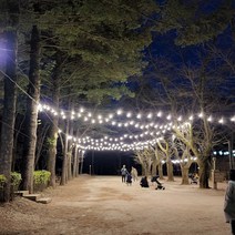 파티라이트 스트링라이트 방우 LED 볼구 포함 야외조명 경관조명 루프탑 캠핑 까페 펜션용 감성조명 무드조명, 11M10구+LED 볼구 10W 전구색 (노랑빛)12개