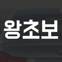 어른킹 빅사이즈 왕초보 A타입 포인트 컬러 데칼 스티커 자동차 드레스업 익스테리어 방수 시트지, A타입- 경차/RV(75x27cm) -골드