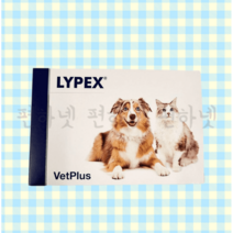 벳플러스 라이펙스 췌장효소 보충제 60캡슐 영양제