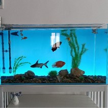 어항 백스크린 led rgb 수족관 꾸미기 조명 수조 장식 어항백라이트, 1200x400cm