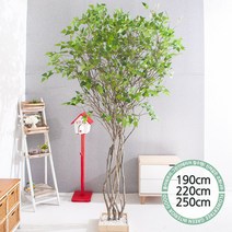 실내인테리어 인조나무 123종 / 플트 조화나무 C, C07.라인-자작나무 250cmK/사방형