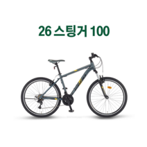 2022년 삼천리 스팅어100 21단 100%완전조립, 블랙