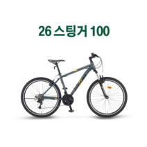 2022년 삼천리 스팅어100 21단 100%완전조립, 다크실버