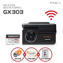 [파인뷰] [10%쿠폰증정][AS 2년] GX303 128GB로업 자가장착 Q/F 2채널, 상세 설명 참조