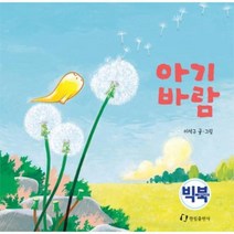 아기바람 빅북, 상품명