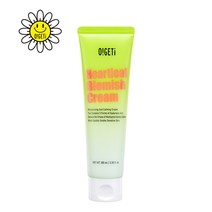 오겟 김세정 어성초 피부진정 고보습 수분크림100ml, 단품