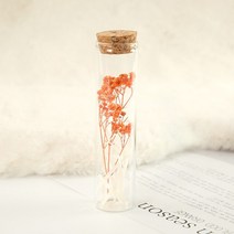 부케돔 안개꽃 미니 말린 보존 꽃 유리 표류 웨딩 파티 장식 위시 병, 6.1PCS Gypsophila