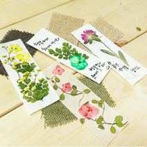 그린팜네이처 한지책갈피 만들기 KIT (손코팅지), 꽃잎한지