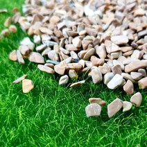 마이플랜트 목문석 20kg 대포장, 목문석 5호(20~25mm) 20kg