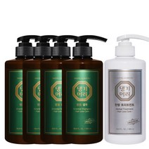 댕기머리 [댕기머리]명품 샴푸 500ml 4개 + 한방 트리트먼트, 명품샴4한트1