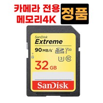 메모리 4K 파나소닉 루믹스 DC-G9 DC-G95?32GB