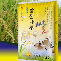 당일도정 2022년 전남 장흥 남외정미소 쌀 찹쌀 현미 오분도미 20kg, 1개, 찹쌀현미20kg