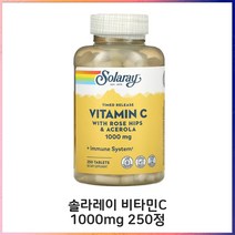 솔라레이 비타민 C 로즈힙스 아세로라 1000mg 250정, 1개, 기본