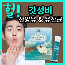 퀼리고트 인증 에너 데이 가성비 고소한 우유맛 산양유 단백질 앤 가세리 유산균 네덜란드산 파우더 분말 가루 선물용 프락토올리고당 부모님 30대 40대 50대 60대, 60포(2개월)