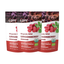 LOOV 링곤베리 분말 파우더 113g 2+1