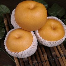 싱싱한 나주배 가정용 못난이 흠집 배 7.5~15kg, 5.가정용(흠집배)(27~30과/중과)15kg