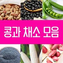 강낭콩 씨앗 호랑이콩 울타리콩 완두콩 작두 적작두콩 아라리 팥 녹두 율무 깨 옥수수 땅콩 서리태 메주 쥐눈이 렌틸 종자 파종 재배 슈퍼 땅콩 씨 종자 키우기 모음, 7.녹두씨 30g