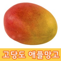 [주부의선택] 영양가득 고당도 항공 직송 애플망고, 애플망고 2KG 4과수 내외