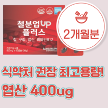 임신초기영양제 준비영양제 보건소엽산