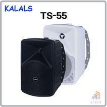 카날스 TS-55 1조 매장용 패션스피커 최대160와트, 화이트