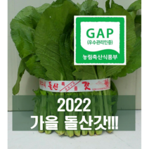 류가네 여수 돌산갓 5kg 10kg(무료배송) GAP 인증, 1box, 10kg