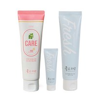 닥터초이스 케어/프레쉬 좋은 치약 천연 항암 구내염 구강건조증 임산부 입냄새 잇몸출혈, 좋은치약 프레쉬(구치케어)-하늘색, 1개