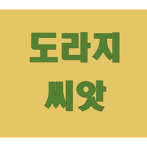 도라지씨앗 도라지종자 도라지씨 재배, 100g