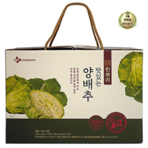 라이브잇 CJ제일제당 한뿌리 양배추즙, 60개입, 80ml