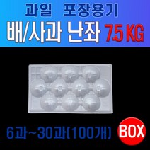 과일포장용 난좌 (배/사과), 6과, 100개