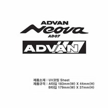 차량용스티커 차량용 튜닝스티커 ADVAN, 타입:B타입|색상:레드, 단품