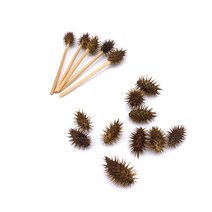 도꼬마리 열매 자연물놀이 과녁놀이용, (과녁용) 나무스틱 부착 도꼬마리 10개, 1개