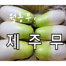무 제주 월동무 10kg 6개~8개