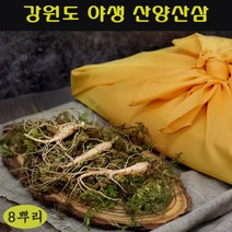 강원도 자연산 산양삼 야생 산양 산삼 장뇌삼 산삼주 효능 가격 먹는법 추석 명절 vip 선물 세트 국내산 정품, 1세트, 8뿌리