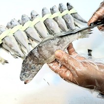 영광굴비 장줄 2.3K이상 20미 가정용 손질상품 진공포장 다시팩증정 가락시장 도매 힘바다 가락금호상회, 1개