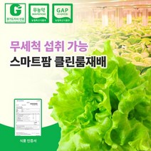 무농약 친환경인증 국내산 스마트팜 수경재배 유기농 유럽샐러드 채소 카이피라 500g, 1개
