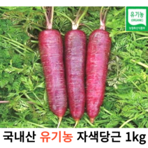 제주 유기농 친환경 자색당근 1kg 신선한 보라당근 국산 햇당근 산지직송 못난이 구좌 국산 흙당근 국내산 이유식 환자식