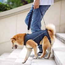대형견 뒷다리 하네스 노견 다리 보조기구 슬개골 재활, 01. 곤색, 01. S(7.5kg 이내)