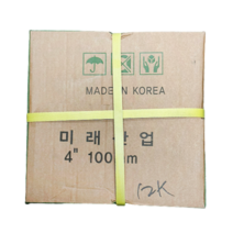 미래 일반 철못 4인치 12kg 피스 못 나사, 단품